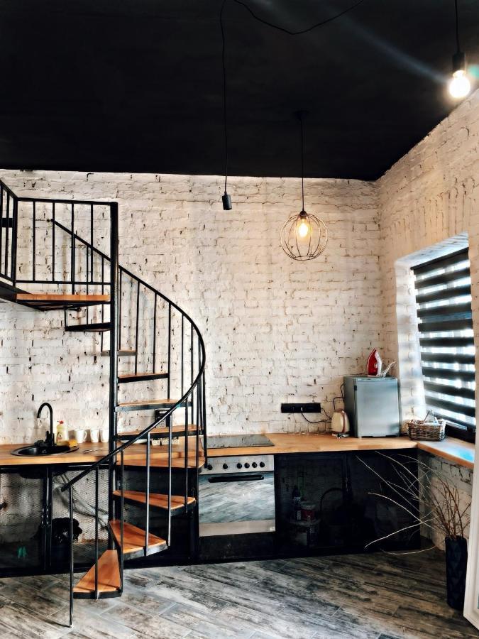 Luxury_Loft Lägenhet Kamjanets-Podilskyj Exteriör bild