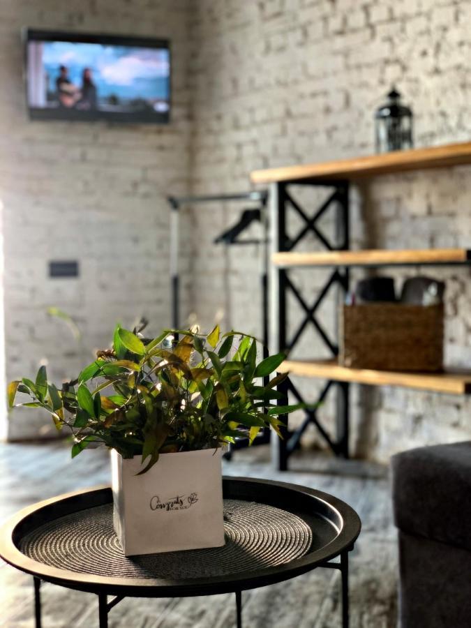 Luxury_Loft Lägenhet Kamjanets-Podilskyj Exteriör bild