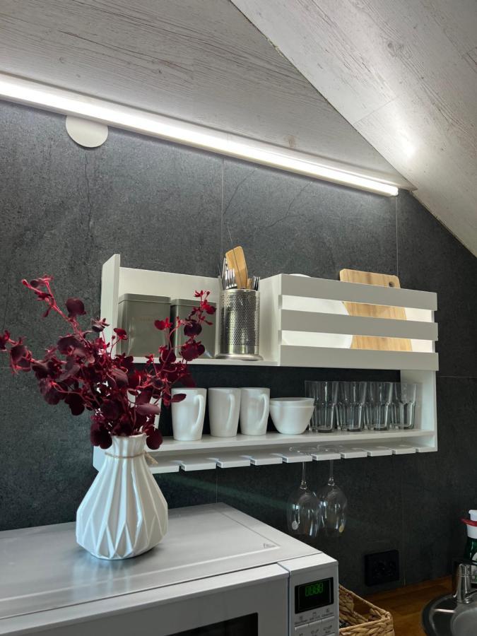 Luxury_Loft Lägenhet Kamjanets-Podilskyj Exteriör bild