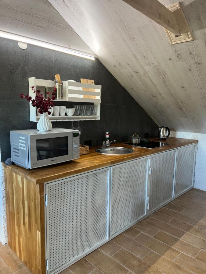 Luxury_Loft Lägenhet Kamjanets-Podilskyj Exteriör bild